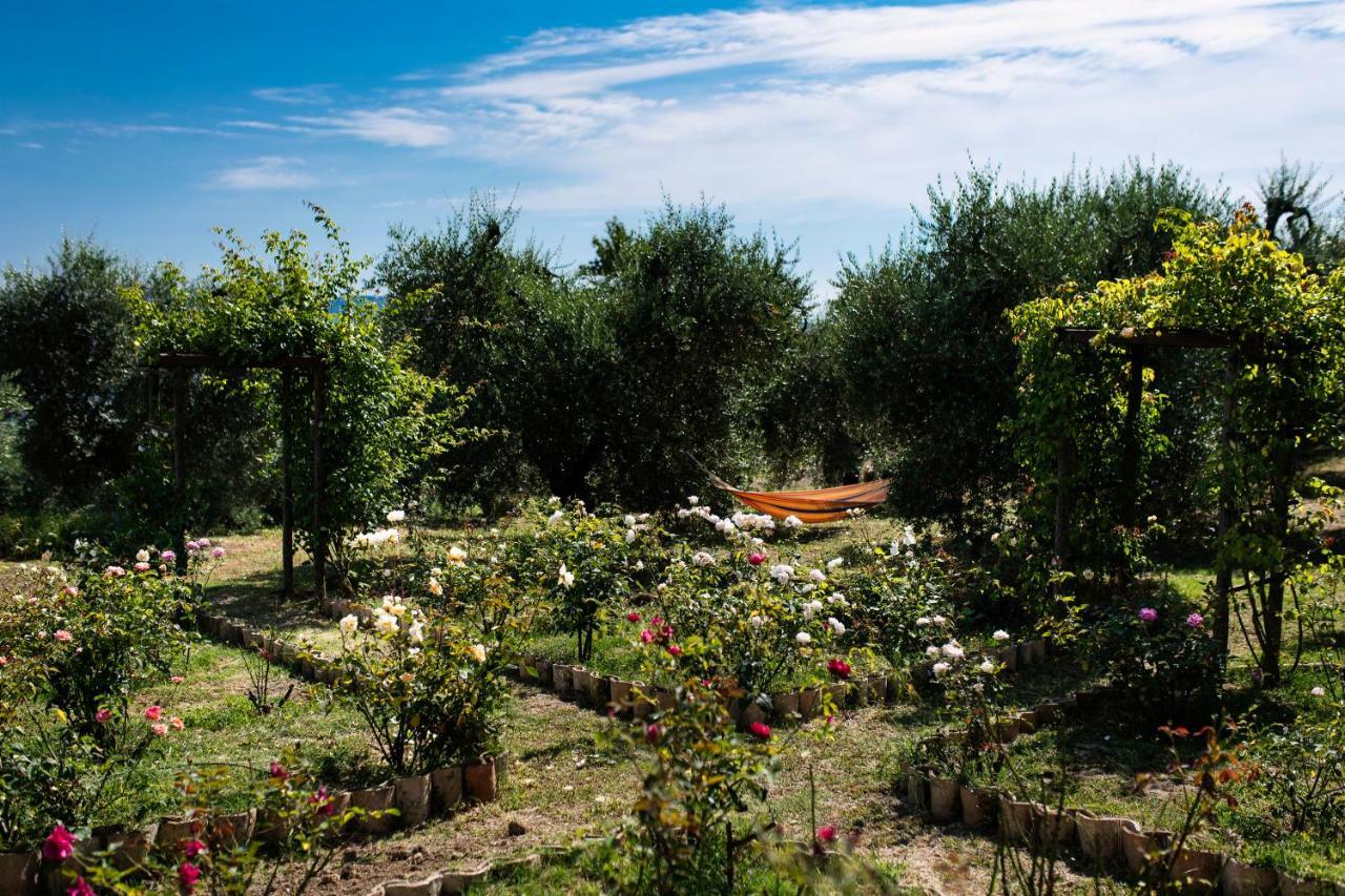 Orvieto Rocca Fiorita Hotel Eksteriør billede